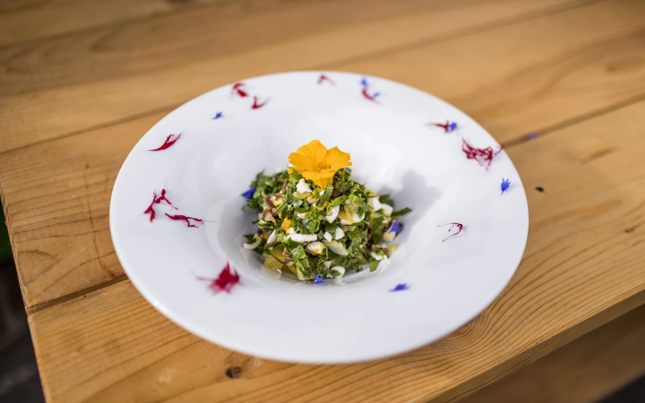 Lwenzahn_E.Mittelberger SBO_ArminHuber 3_1600x1067.jpg